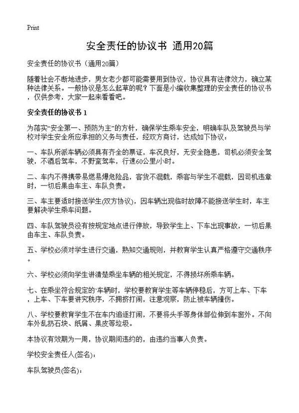 安全责任的协议书20篇