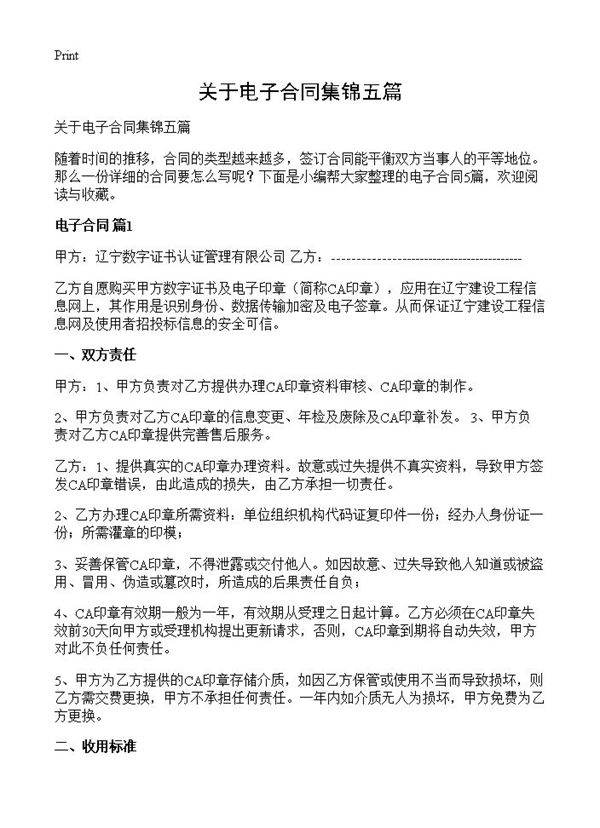 关于电子合同集锦五篇