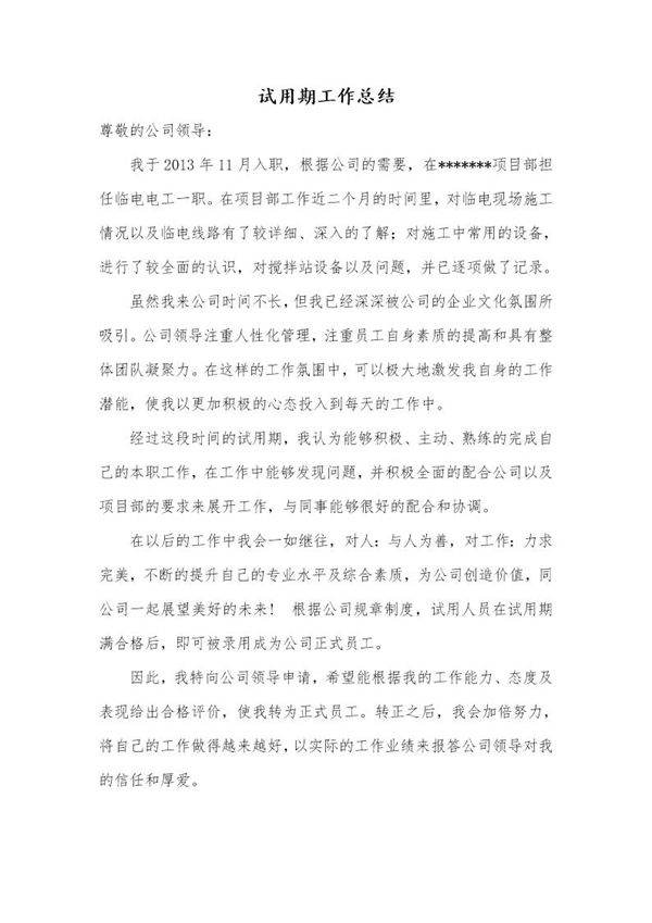 试用期工作总结
