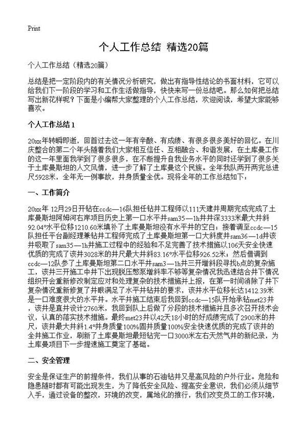 个人工作总结20篇