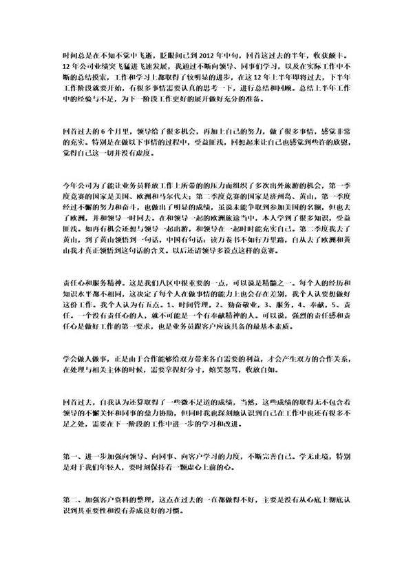 业务员半年总结免费下载