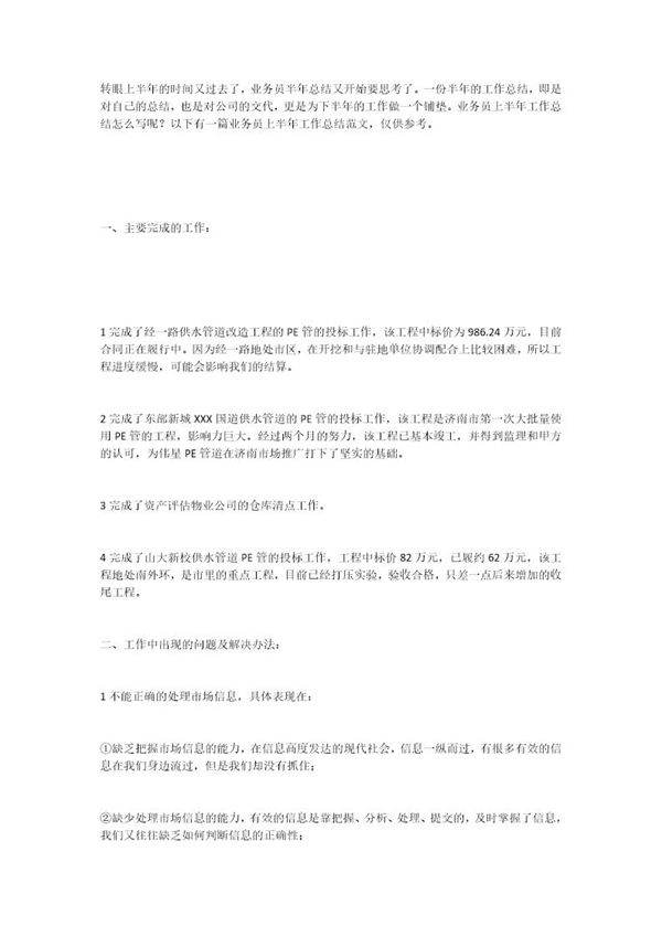 业务员半年总结报告个人范文