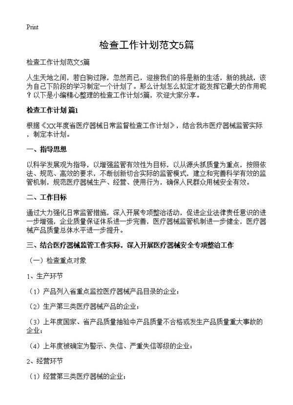 检查工作计划范文5篇