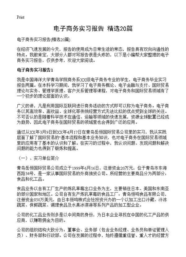 电子商务实习报告20篇