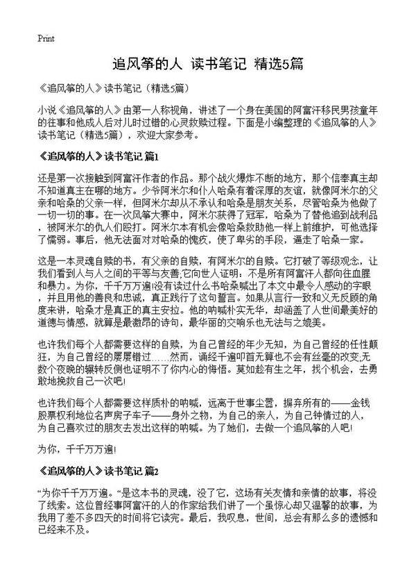 《追风筝的人》读书笔记5篇