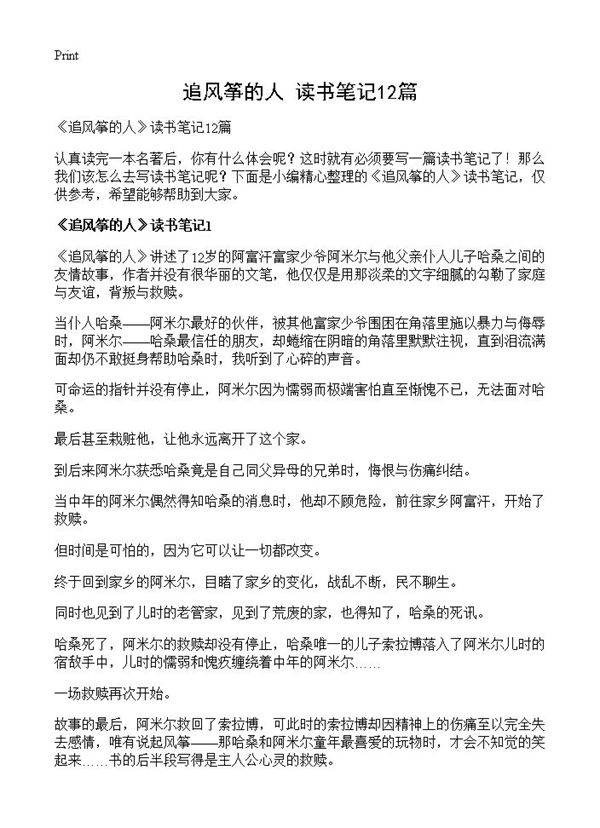 《追风筝的人》读书笔记12篇