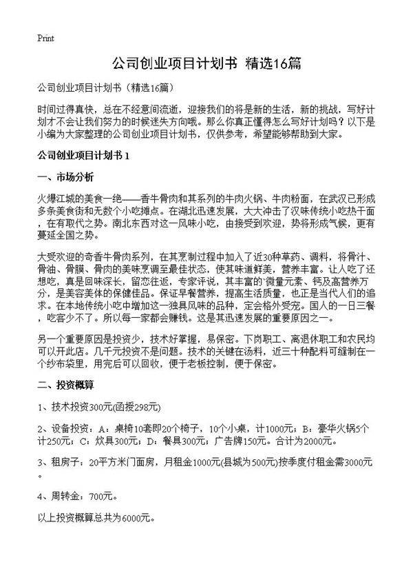 公司创业项目计划书16篇