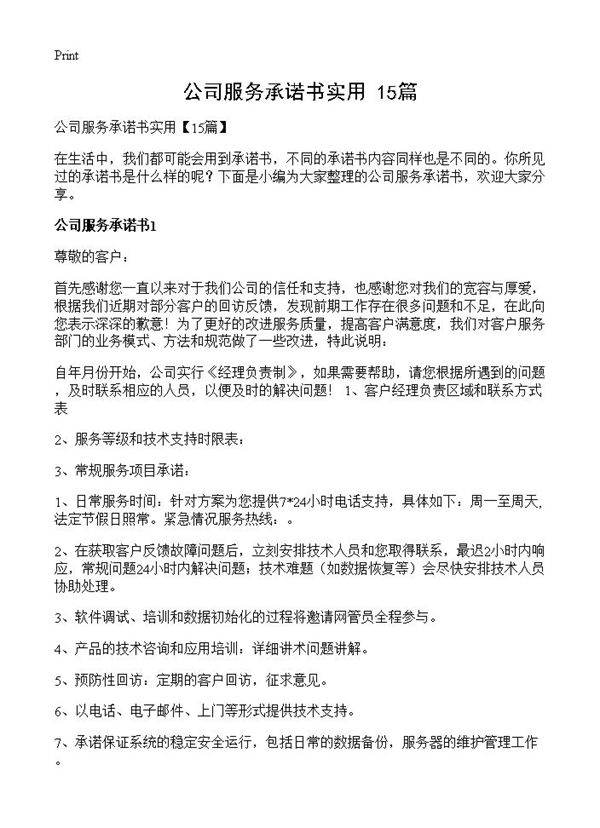 公司服务承诺书实用