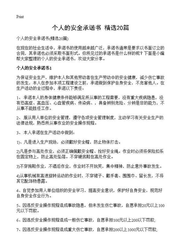 个人的安全承诺书20篇
