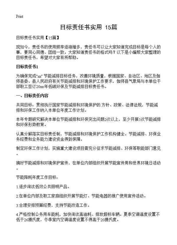 目标责任书实用