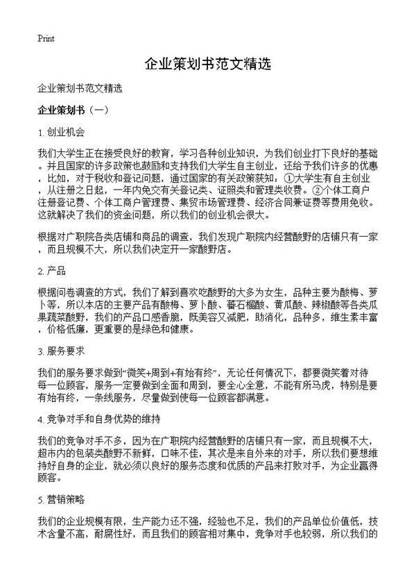 企业策划书范文精选