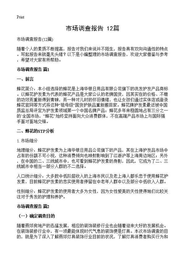 市场调查报告12篇