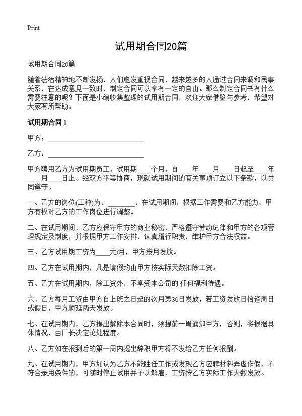 试用期合同20篇