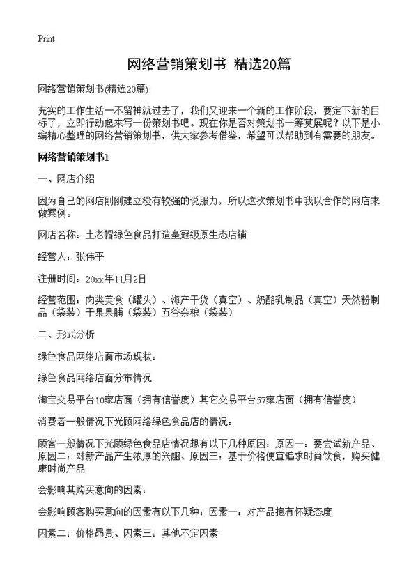 网络营销策划书20篇