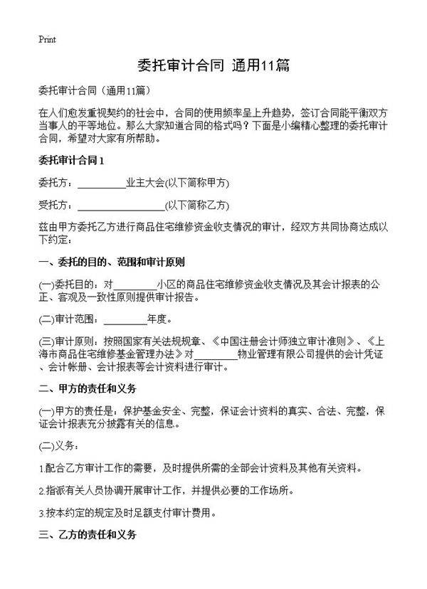 委托审计合同11篇