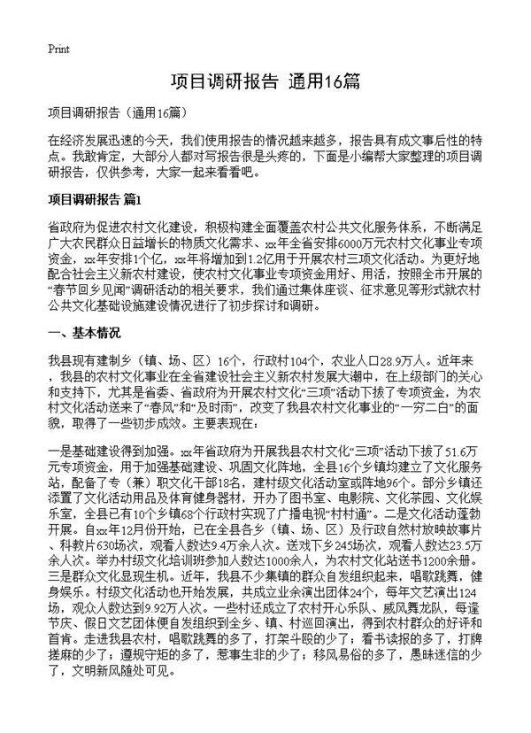 项目调研报告16篇