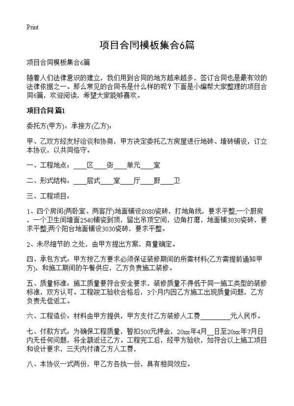 项目合同模板集合6篇