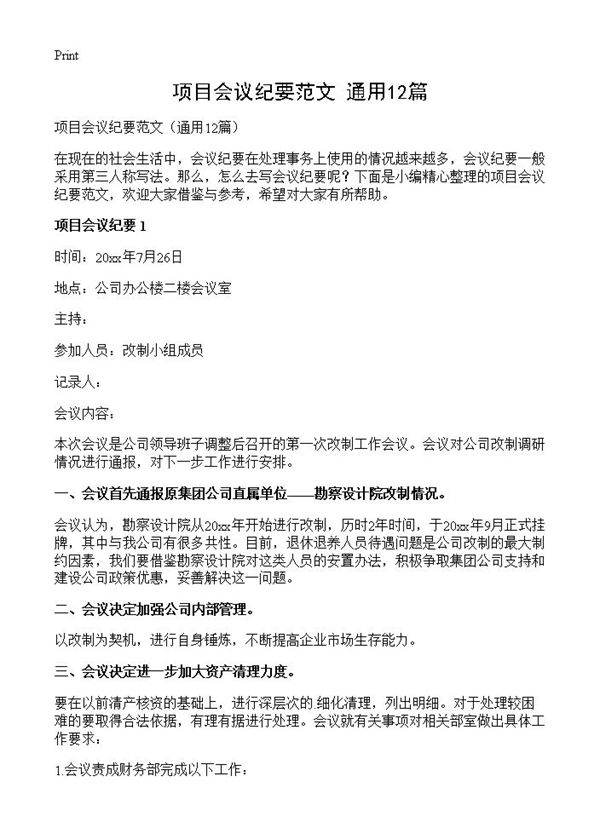 项目会议纪要范文12篇