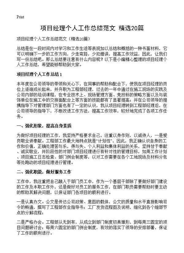 项目经理个人工作总结范文20篇