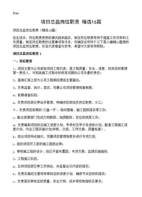 项目总监岗位职责16篇