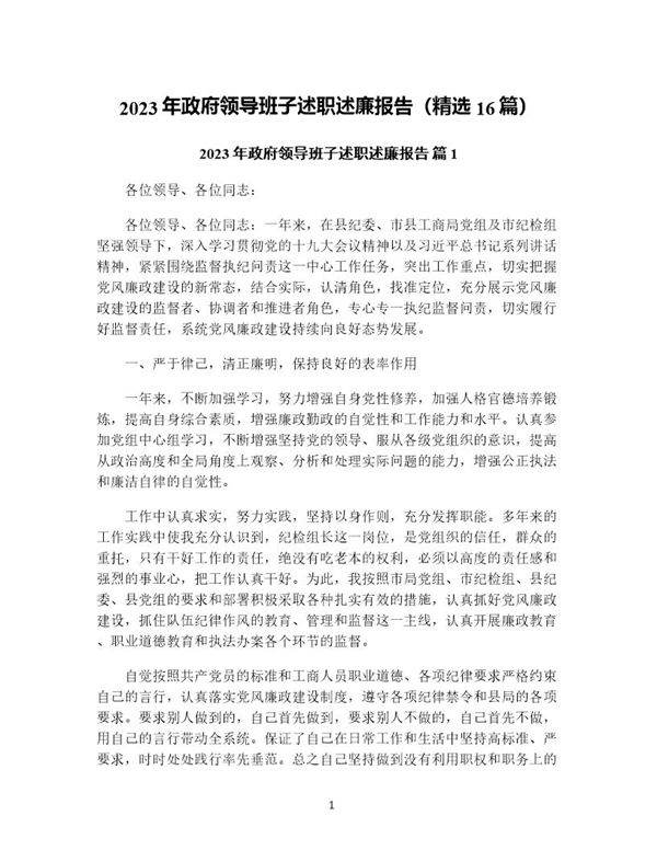 年政府领导班子述职述廉报告(精选16篇)