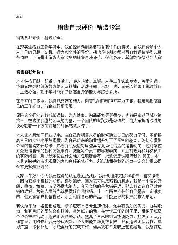 销售自我评价19篇
