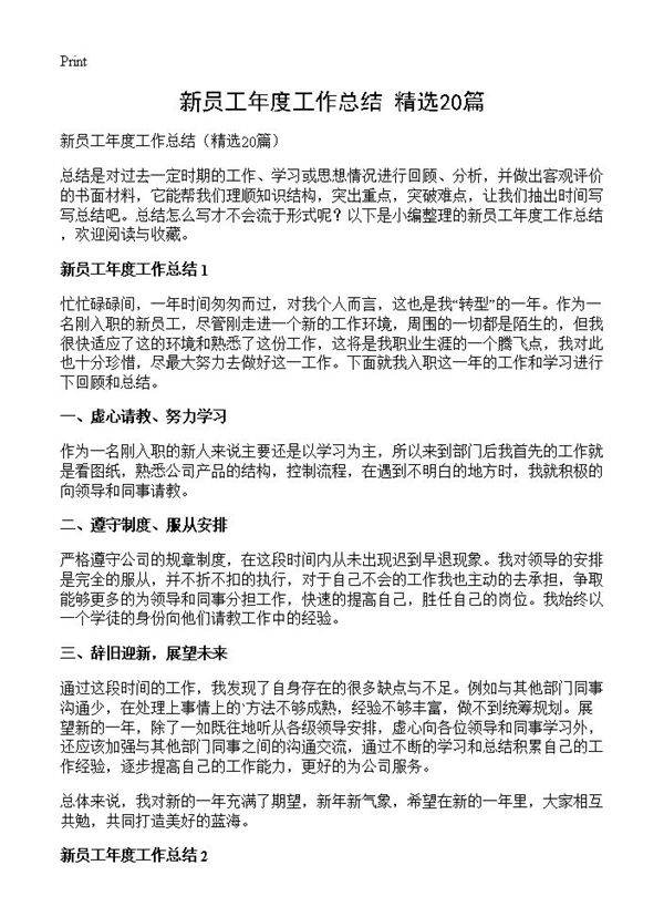 新员工年度工作总结20篇