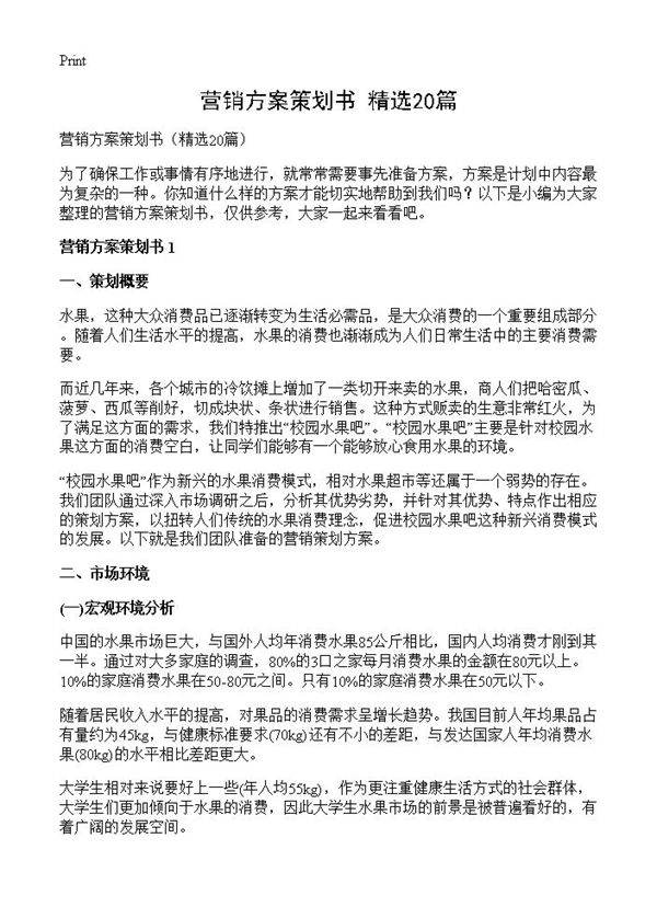 营销方案策划书20篇