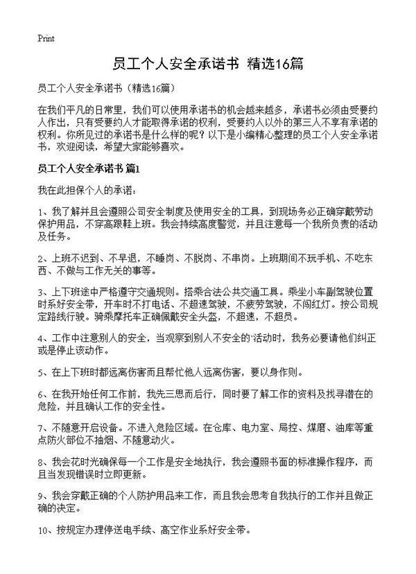 员工个人安全承诺书16篇