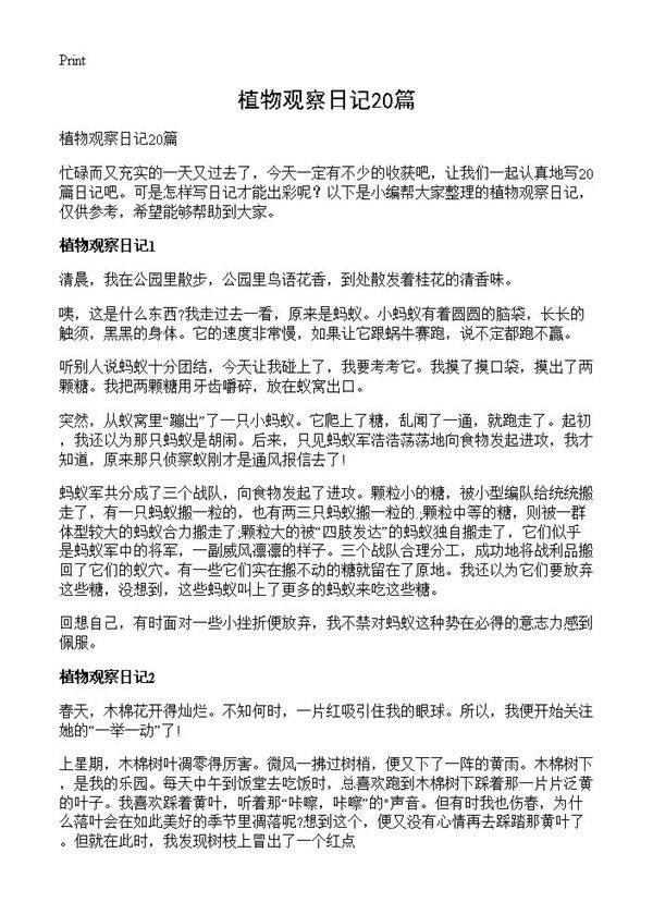 植物观察日记20篇