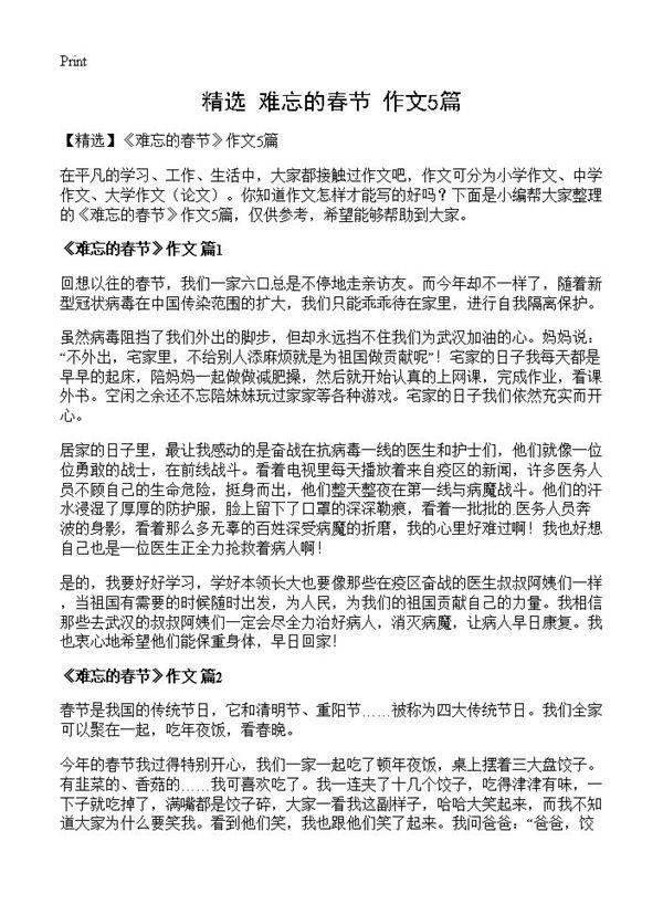 《难忘的春节》作文5篇