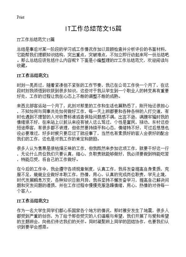 IT工作总结范文15篇