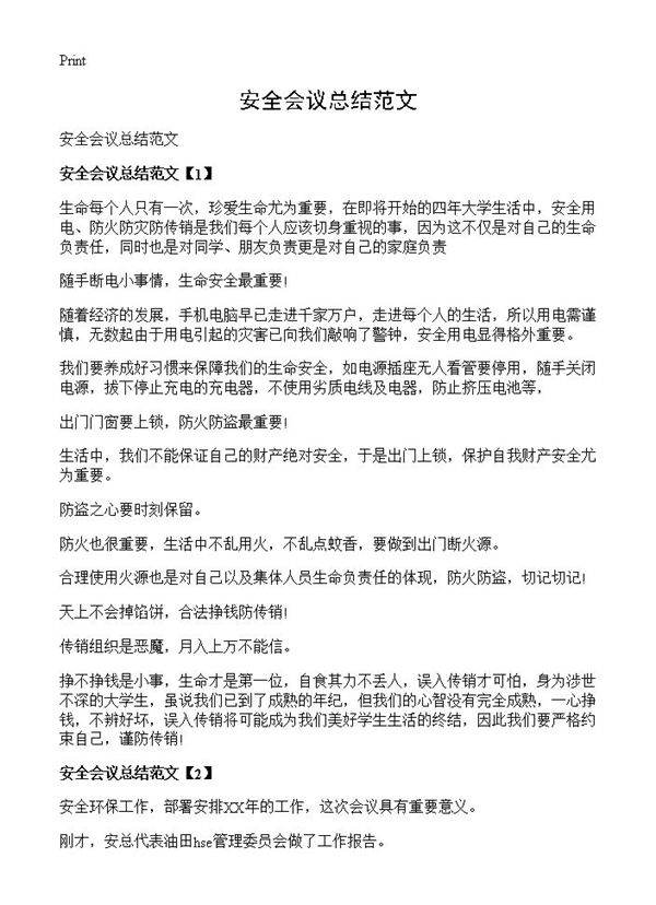 安全会议总结范文