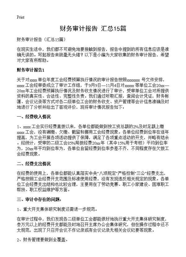 财务审计报告15篇