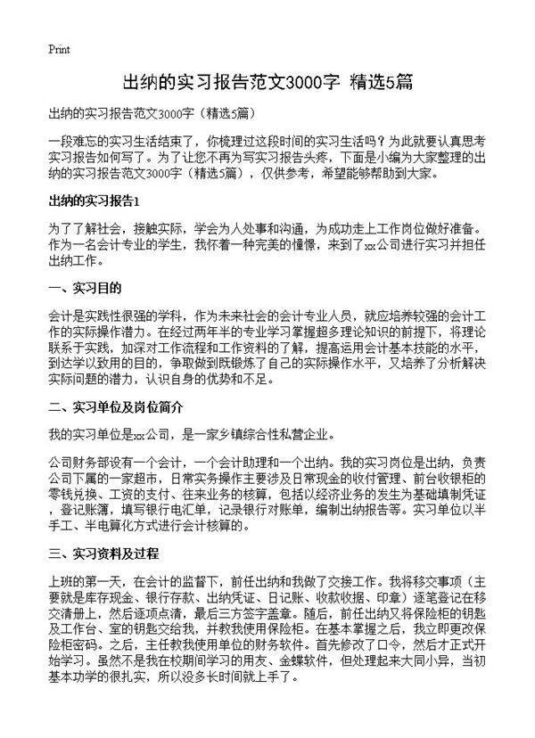 出纳的实习报告范文3000字5篇