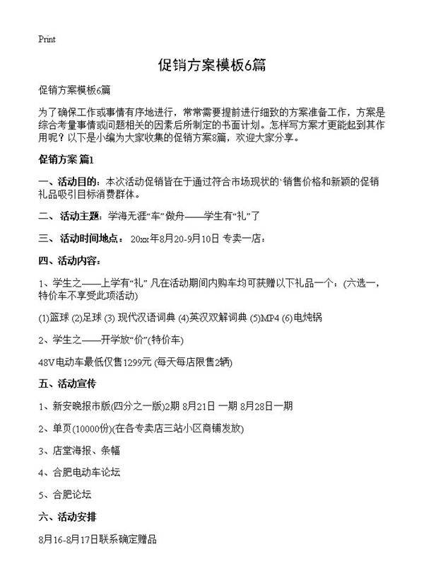 促销方案模板6篇