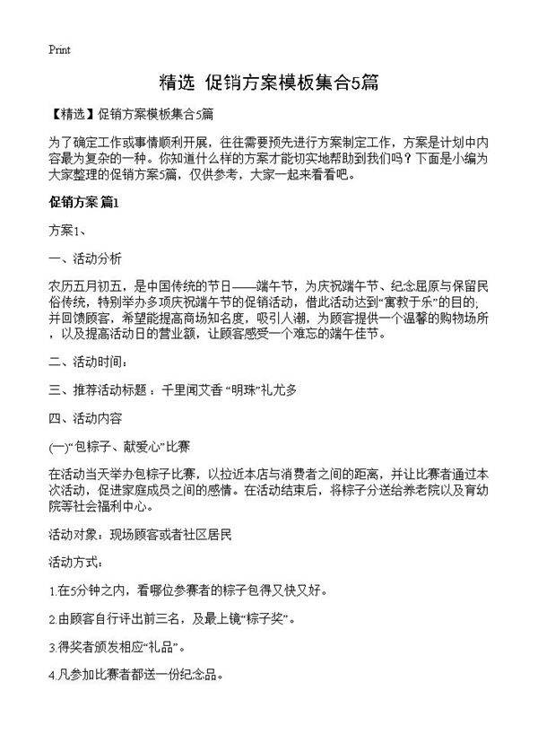 促销方案模板集合5篇