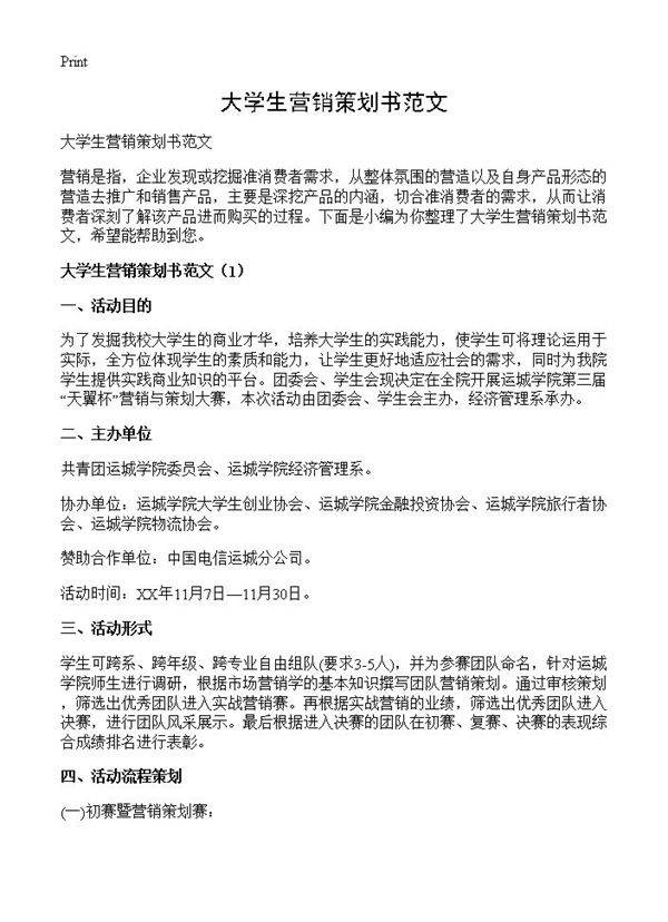 大学生营销策划书范文