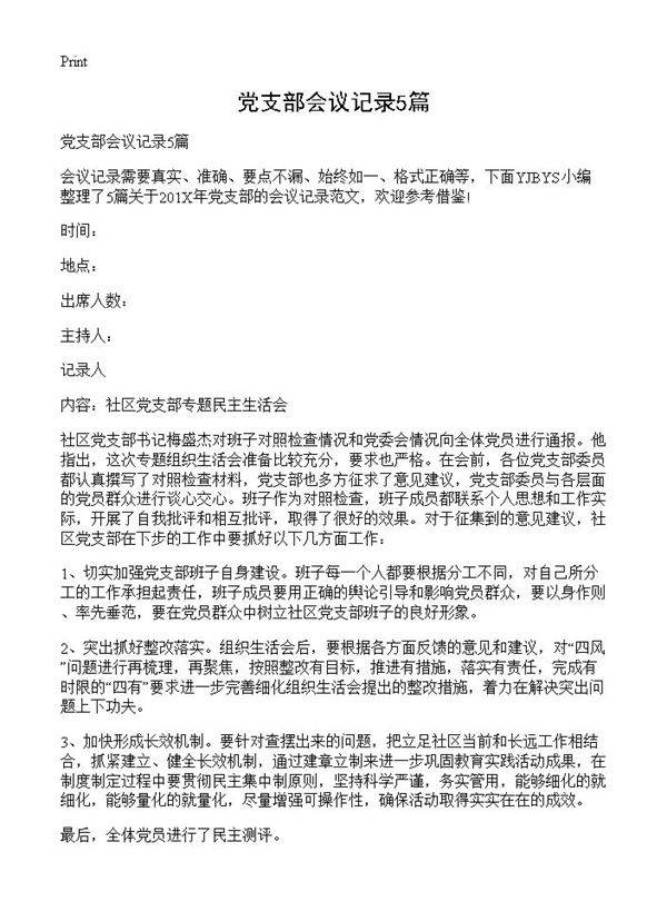党支部会议记录5篇