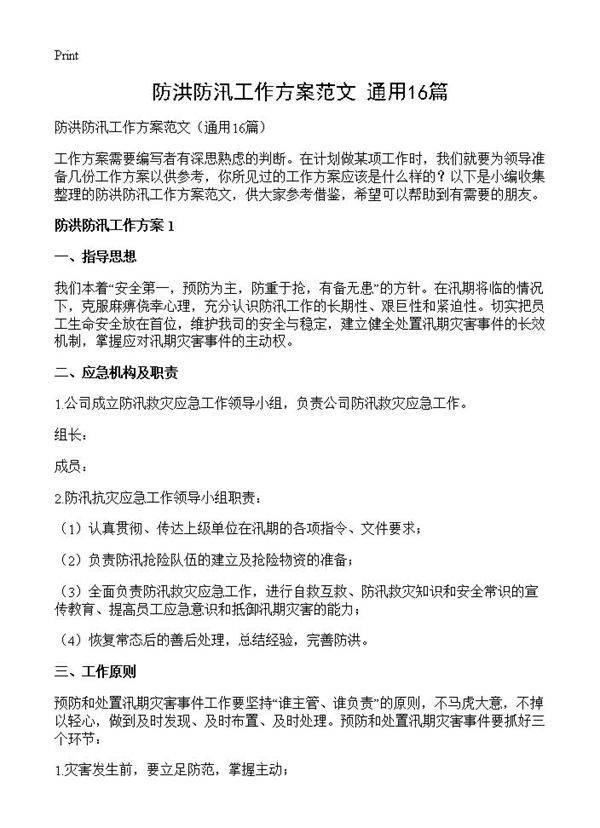 防洪防汛工作方案范文16篇