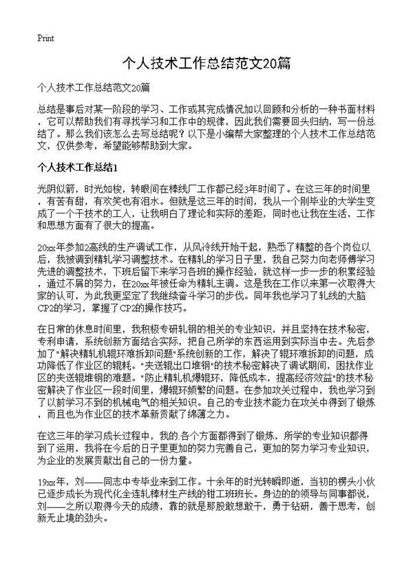 个人技术工作总结范文20篇