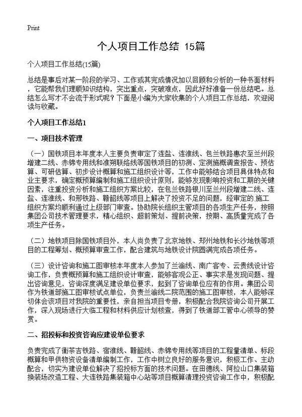 个人项目工作总结15篇