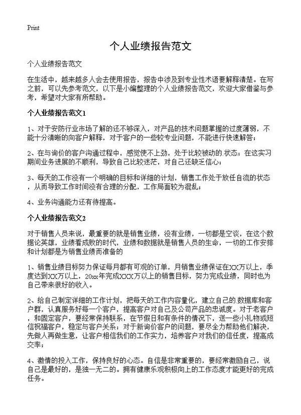 个人业绩报告范文