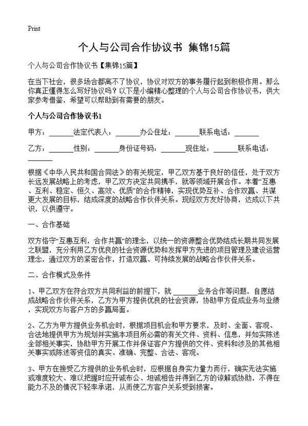 个人与公司合作协议书