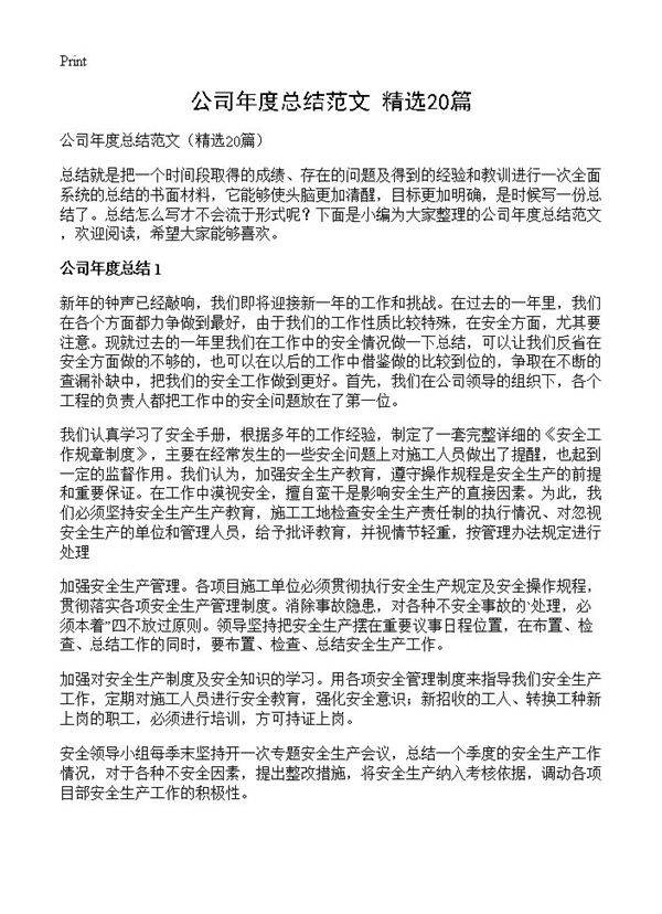 公司年度总结范文20篇