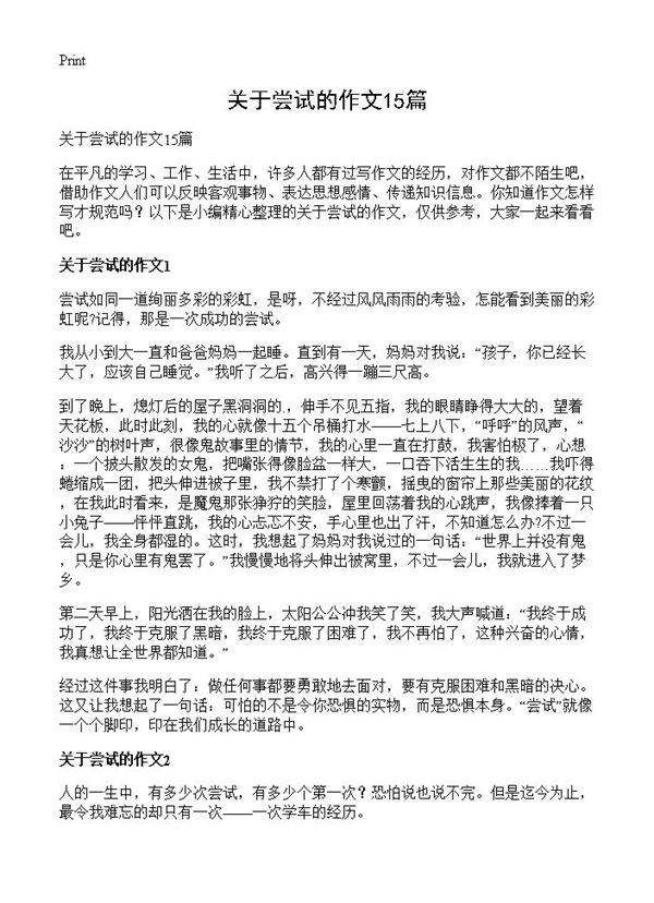 关于尝试的作文15篇