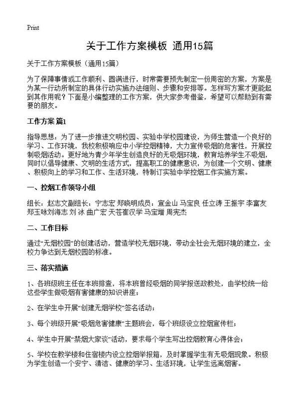 关于工作方案模板15篇