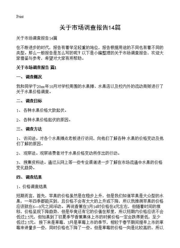 关于市场调查报告14篇