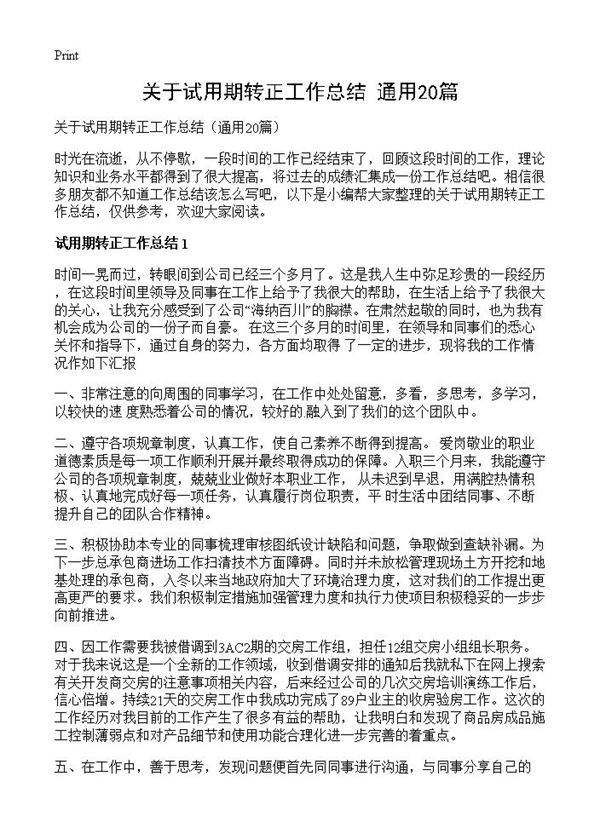 关于试用期转正工作总结20篇