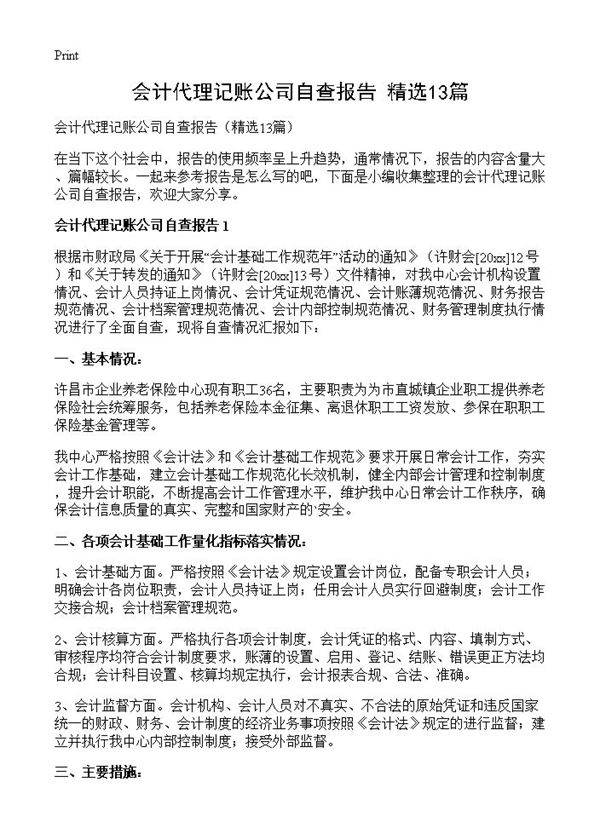 会计代理记账公司自查报告13篇